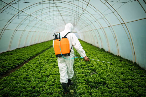 Best Affordable Pest Control Services  in Greenfields, PA