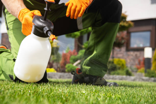 Best Flea Control Services  in Greenfields, PA